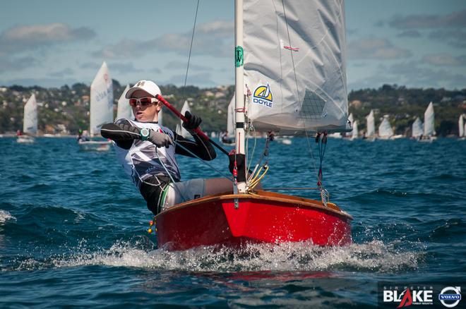 Sir Peter Blake Regatta, Torbay, Auckland, NZ - Day 2, Dec 4 2016 © Suellen Hurling 